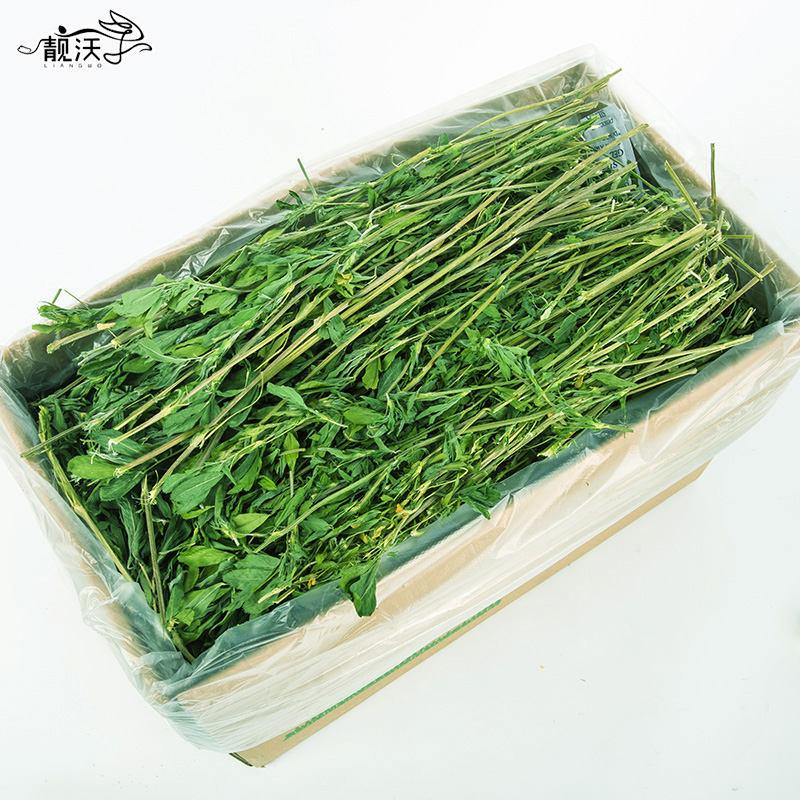 兔子牧草紫花苜蓿草烘乾草提木西草兔大麥草乾草兔食兔吃的草兔草 兔子牧草紫花苜蓿草烘乾草提木西草兔大麥草乾草兔食兔吃的草兔草