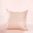 Vuông dệt tằm tơ cushion cover gối che 100% lụa rắn vuông gối giữ gối tay - Trở lại đệm / Bolsters