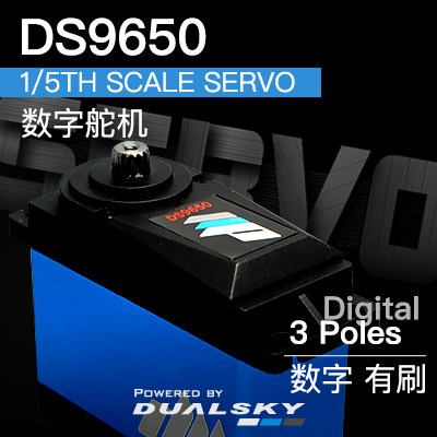 Double day Self-powered digital steering gear DS9650 1 5th scale servo 202g 50kg