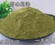 Chinese herbal medicine Andrographis Lotus tablets Andrographis powder Chuanxinlian Andrographis paniculata 500g guarantee