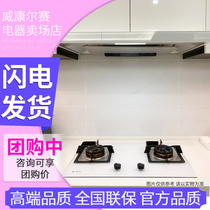 Fujidi CXW-256-FD260E Japanese range hood FH220 BK W embedded gas stove