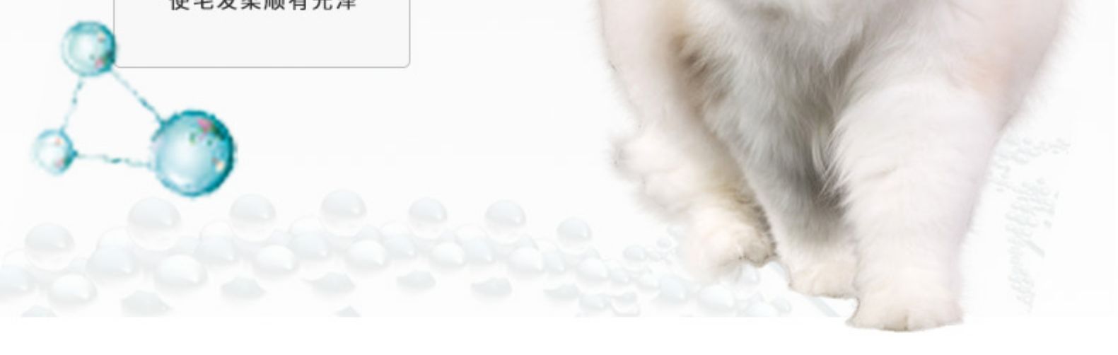 Chó con mèo thức ăn cho mèo đặc biệt Mèo mèo trong nhà 1-4 tháng Mèo chính hạt 5 kg 2,5kg 25 tỉnh - Cat Staples thức ăn cho mèo minino