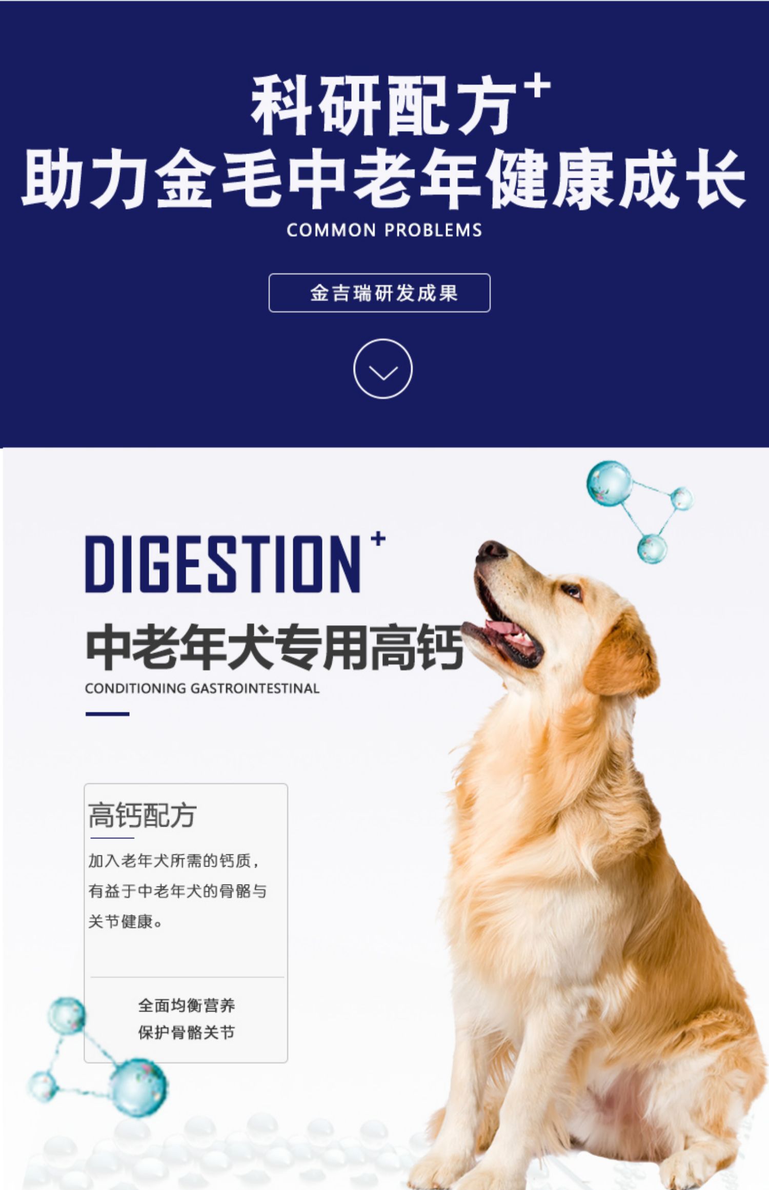 Golden Retriever Đặc biệt Thức ăn cho chó già Chó già Thức ăn cho chó Chó già Tuổi trung niên Chó trưởng thành Thức ăn cho chó 10kg20kg - Chó Staples cám cho chó