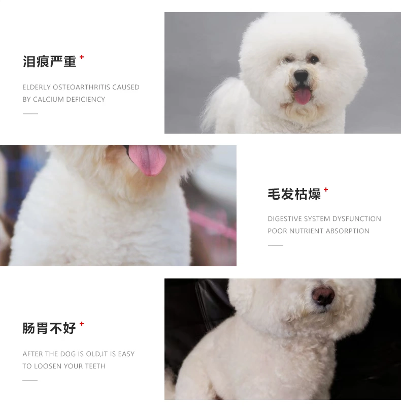 Thức ăn cho chó KINGJERRY Bichon cho chó trưởng thành lông trắng chảy nước mắt hơn chó gấu thức ăn đặc biệt 5 kg 2,5kg - Chó Staples hạt royal canin