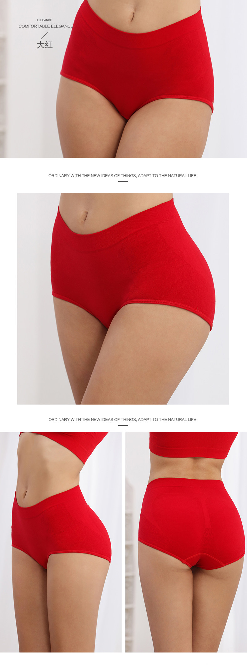 Slip Moyen-âge D3153 en coton - Ref 642442 Image 10