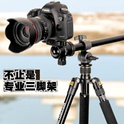 Chân máy ảnh Canon DSLR 1DX80D77D6D7D5D4 trục trung tâm chuyên nghiệp trục ngang chụp ảnh ngang - Phụ kiện máy ảnh DSLR / đơn