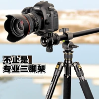 Chân máy ảnh Canon DSLR 1DX80D77D6D7D5D4 trục trung tâm chuyên nghiệp trục ngang chụp ảnh ngang - Phụ kiện máy ảnh DSLR / đơn túi đựng máy ảnh bằng da