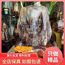 Myanmar tree jade ornaments De Bai ice species wood fossil Silicified wood rough living room ornamental stone patron stone