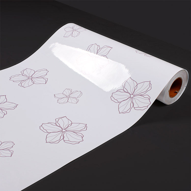 Сޱ��Լ�ִ���ֽgs9158