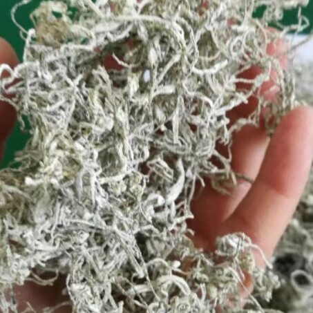 本草汇生物科技