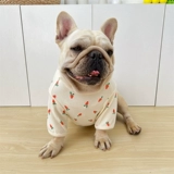 Демисезонная хлопковая эластичная милая морковная приятная телу футболка, осенний сезон