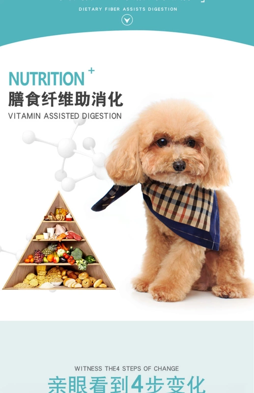 Pet Thân thiện với chó Thức ăn cho chó Teddy Chó trưởng thành 10 Chó phổ thông Loại nhỏ Đặc biệt VIP 4 Gia súc Làm đẹp Lông Nước mắt 40 - Chó Staples