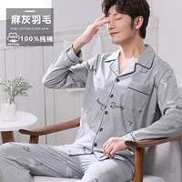 Wjh-mochi пепельные перья