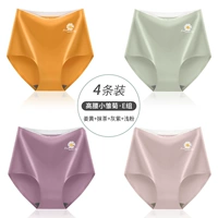 M181-High-талита маленькая диази-группа Group-Ginger+Matcha+серый фиолетовый+легкий порошок (4 штуки)