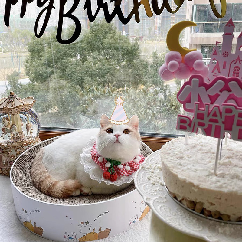 New product pet English short puppet cat Teddy corgi dog cute bib bib jewelry photo props