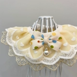 Кошка и собака окружают шею воротник рта полотенце полотенец