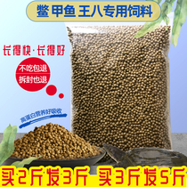 Soft-shell turtle feed turtle feed Chinese soft-shell turtle water fish ball small turtle feed tortoise pearl soft-shell turtle food