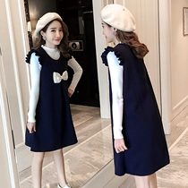 Radiation-proof pregnant woman clothes computer belly-pocket harness spring and autumn clothes outside wearing class Two sets of pregnant womens dress