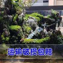 It can be set as pure manual micro-landscape amphibious-water-free water domestic fish turtle-raising ecological fish tank transport breakage bag compensation