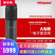 Beijing 797audio CR727 large diaphragm electron tube condenser microphone video studio household capacitor wheat