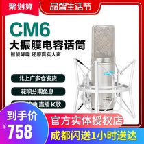Alctron Aiktron CM6MKII large diaphragm condenser microphone recording microphone live karaoke recording set