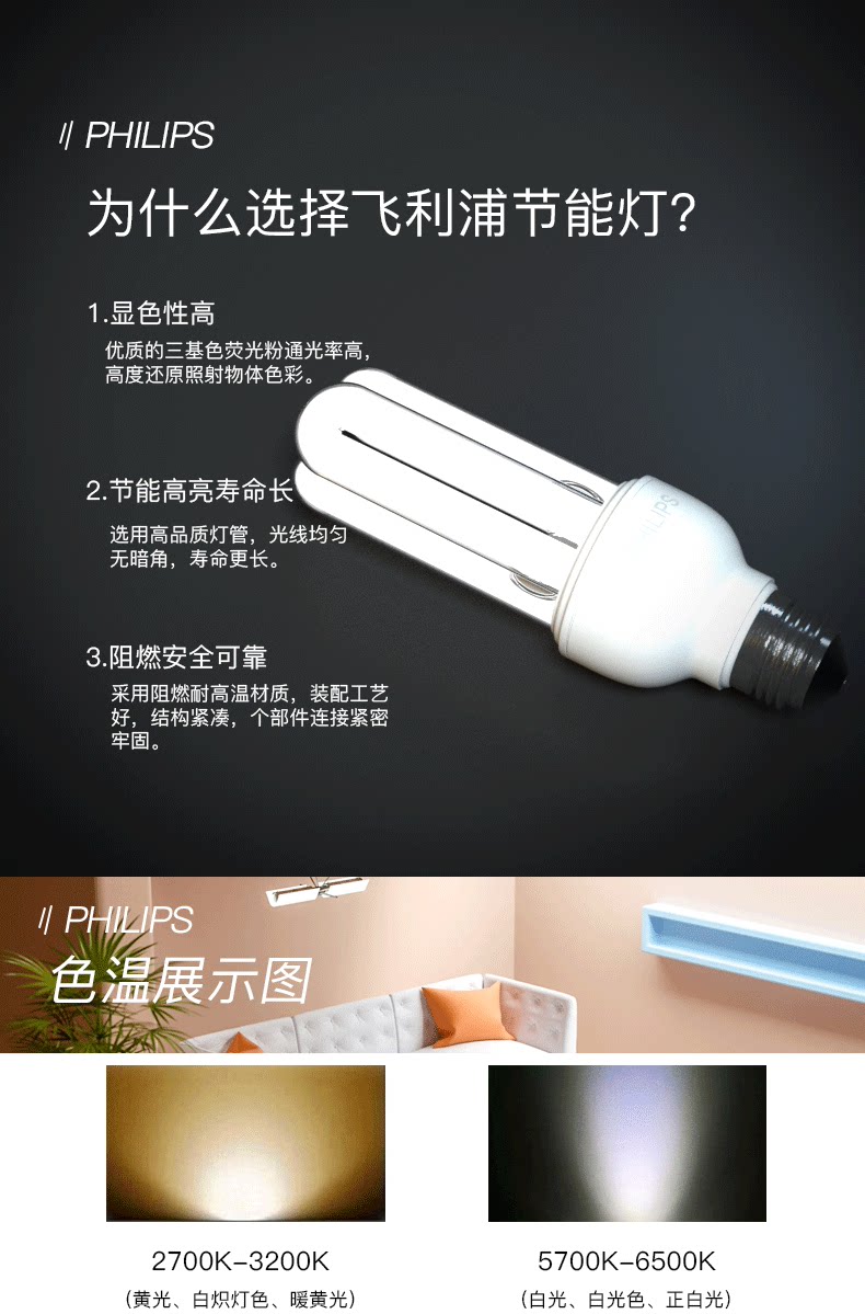 Philips Energy Searning Light Standard Light Source-Details Page 1.png