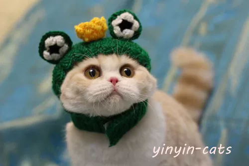 Pet Hate милая форма формы лягушки, шляпа, кошачья шляпа, голова для собак, головной убор