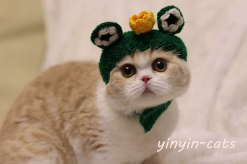 Pet Hate милая форма формы лягушки, шляпа, кошачья шляпа, голова для собак, головной убор