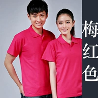 Роза красная