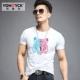 D4469 White Moder Cotton