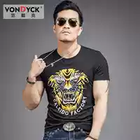 D88120 Black