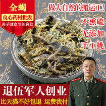 Chinese medicine whole worm whether wild full scorpion dry water rinses all Scorpion dry water 50g