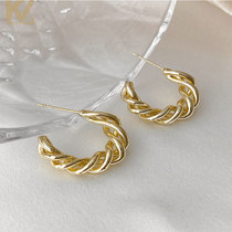 Metal earrings female 2021 New Tide Korean temperament Net red earrings explosive simple sex cold wind ear jewelry