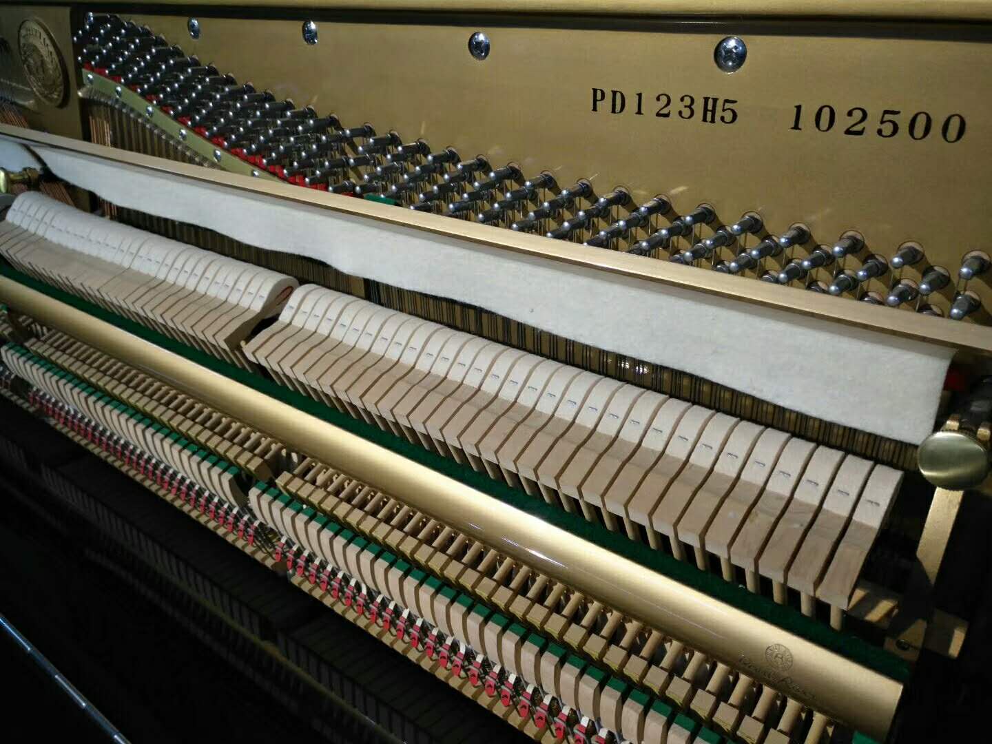 Pearl River Witten piano 9,5% Mẫu mới PD123H5 PD123H6 - dương cầm piano điện yamaha