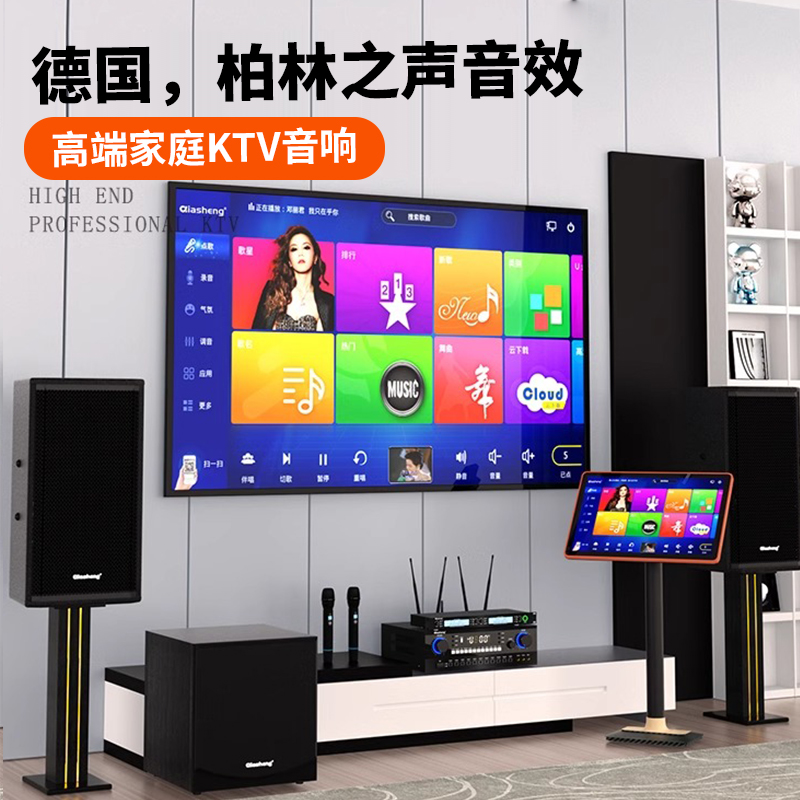 Germany's Voice of Berlin home ktv audio set high-quality professional k brother karaoke machine karaoke full set of speakers
