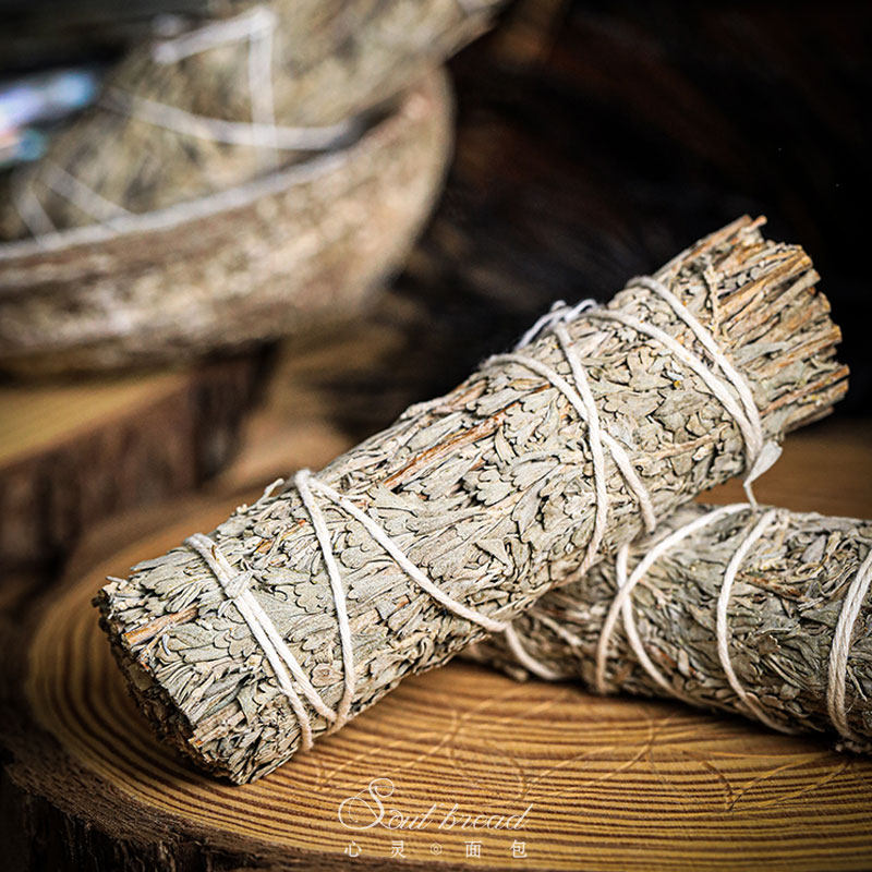 US wild imported bluerat tailgrass in the wild