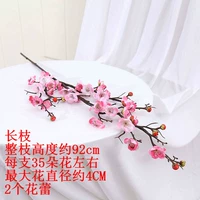 Крупнейшая [розовая слива) общая длина 92 см классического танца 