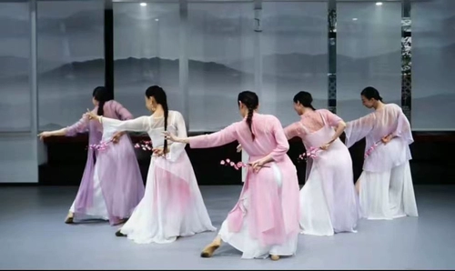 Классические танцы выходят из -за сжигания своих китайских симуляционных слив, персика сливы, розовые дети исполняют танцевальные реквизиты