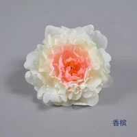 Цвета шампанского