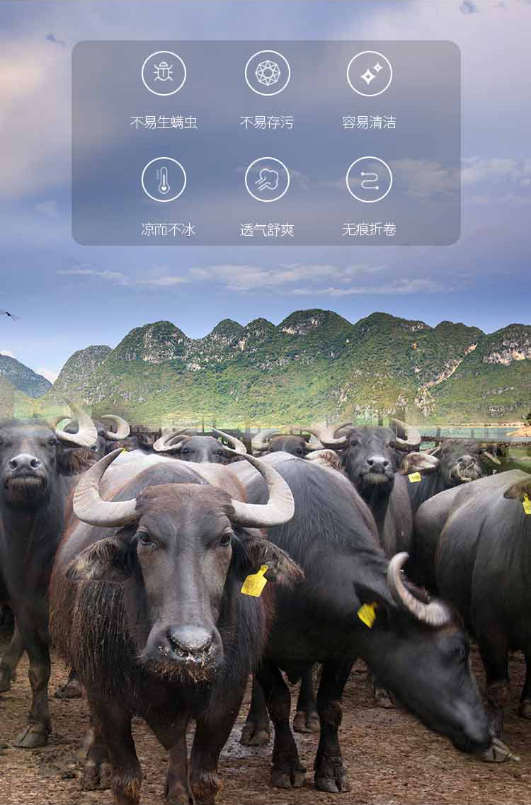 Кожаные сиденья 头层牛皮席软席高端凉席子夏季双人床1.8米2加厚夏天高档真皮席子