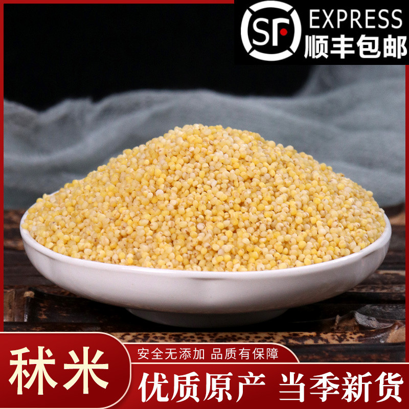 Chinese herbal medicine authentic North sorghum rice glutinous millet yellow glutinous new stock 50 gr