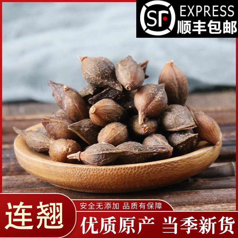Chinese herbal medicine () forsythia with shell Qingqiao and 50 gr Chinese herbal medicine big