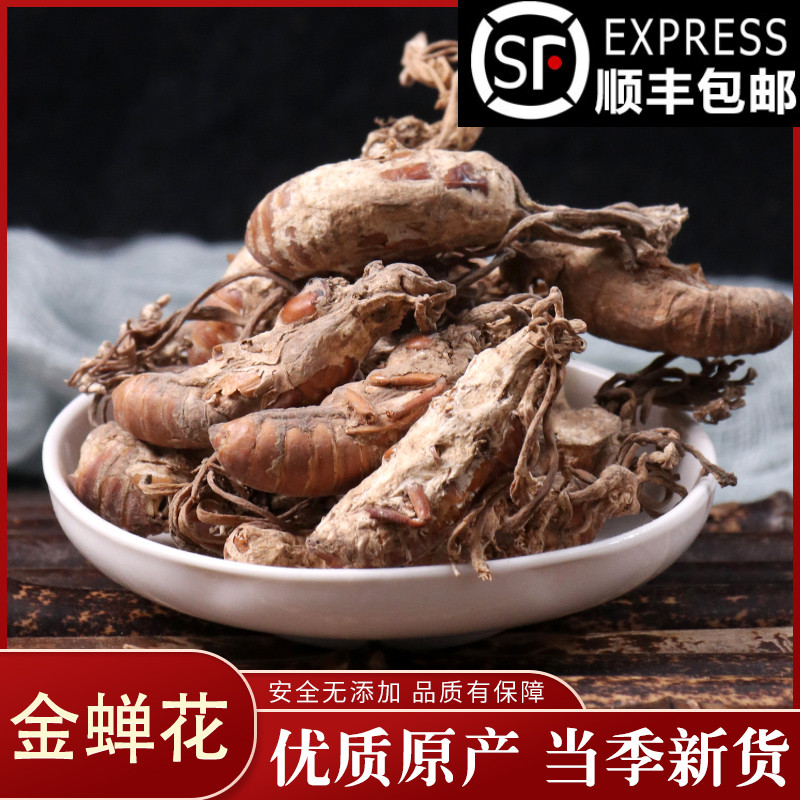 Selected Chinese herbal medicines Cicada flower, Cicada flower, Cordyceps, 50g brick-and-mortar store