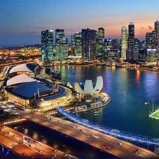为什么新加坡人基本不外出旅游？