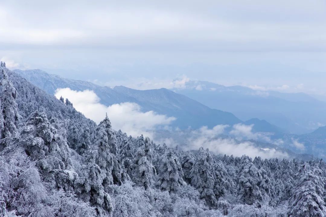 爱打扮(www.idaban.cn)，一下雪，峨眉山就成了人间仙境28