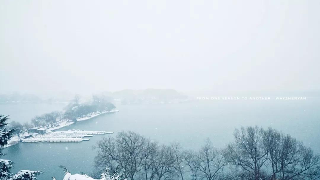 喜提2020第一场雪!雪后的江南美爆了11