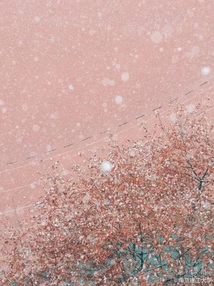 喜提2020第一场雪!雪后的江南美爆了