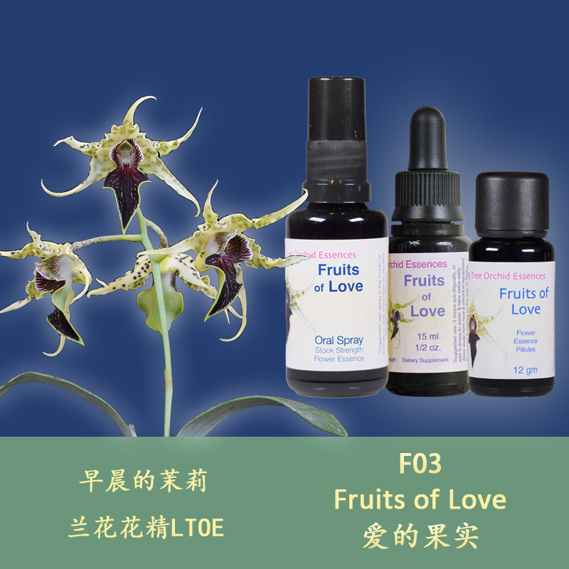 F03 Fruit of Love Ripe Love Nourishes Female Belly British Tree of Life Orchid Liquid Granules
