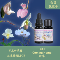 C11回家 放松体验身心灵的存在感 英国生命之树兰花花精液体 颗粒