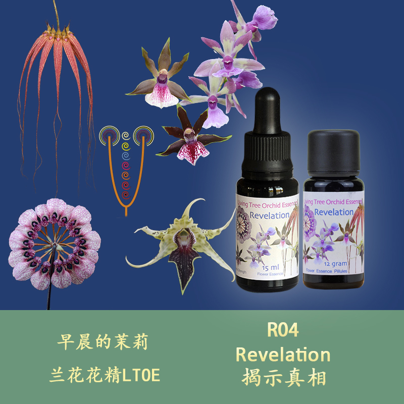 R04 Reveals Truth Put down Environmental Pressure Clear Inner Target British Orchid Flower Essence Liquid Particles